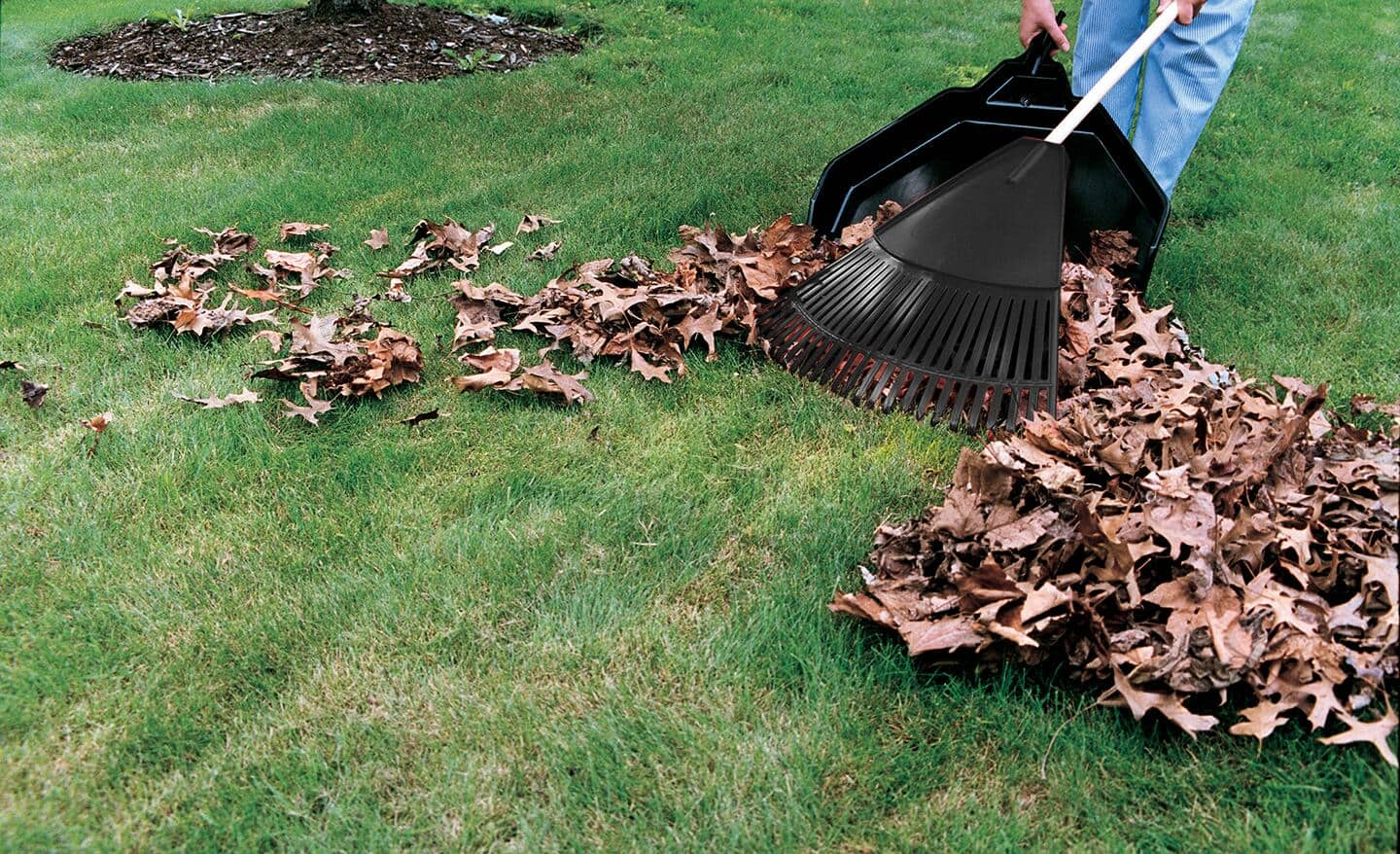 Yard cleaning deals